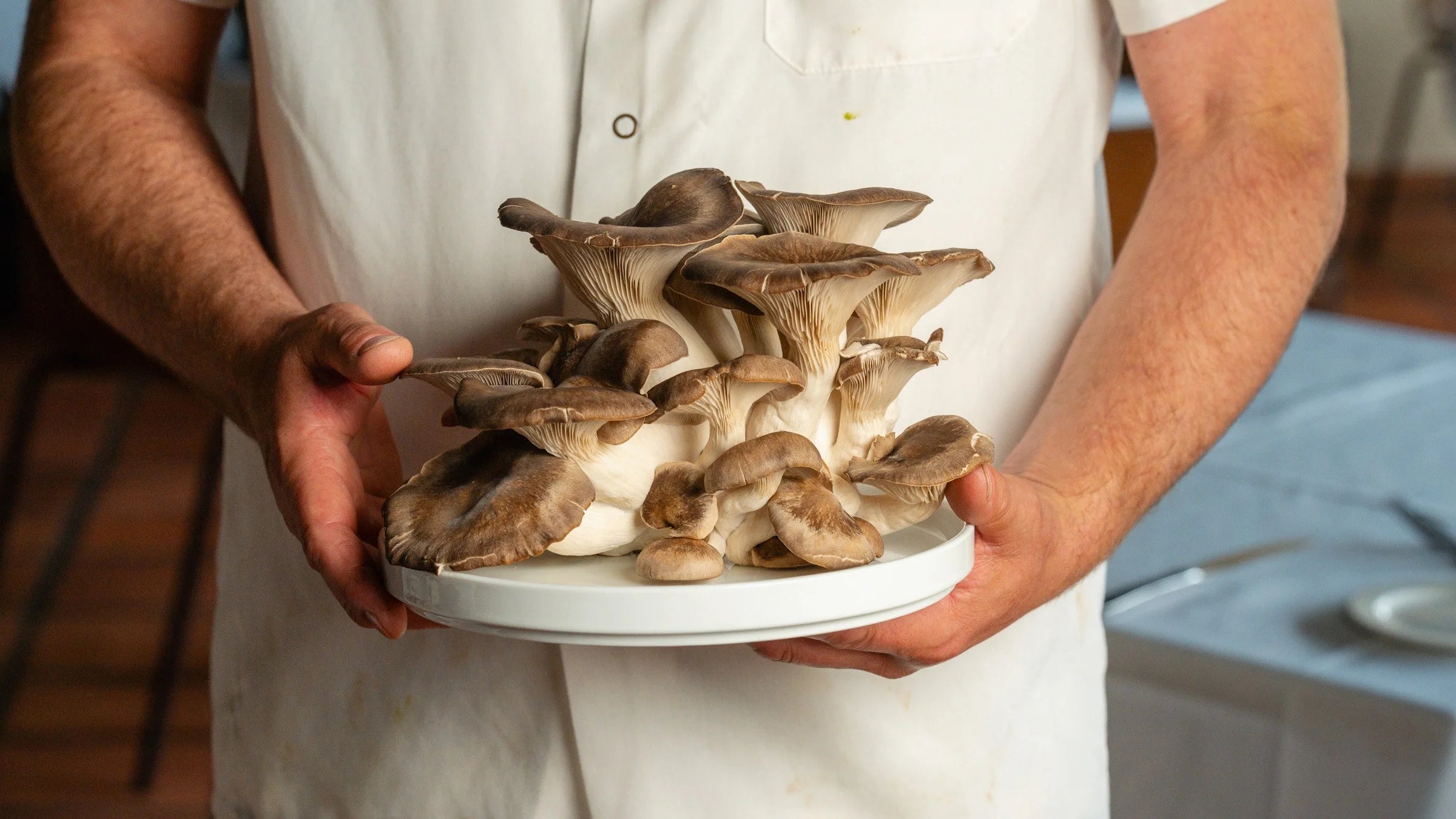2 LB mushroom grab bag!